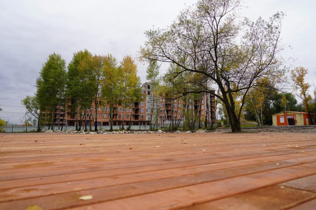 правительство Амурской области