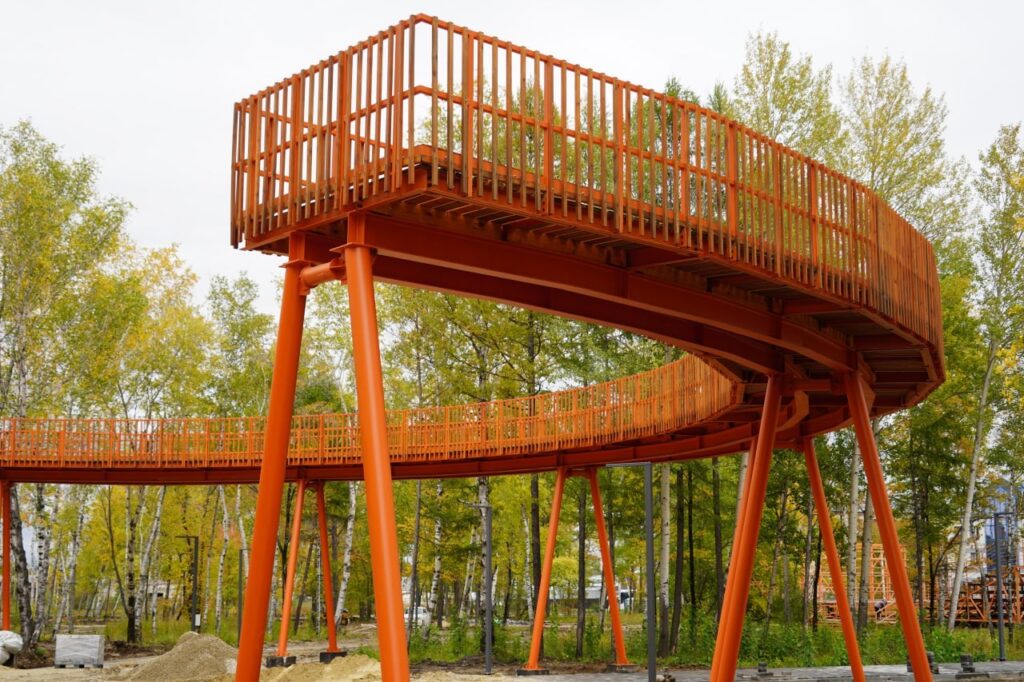 правительство Амурской области