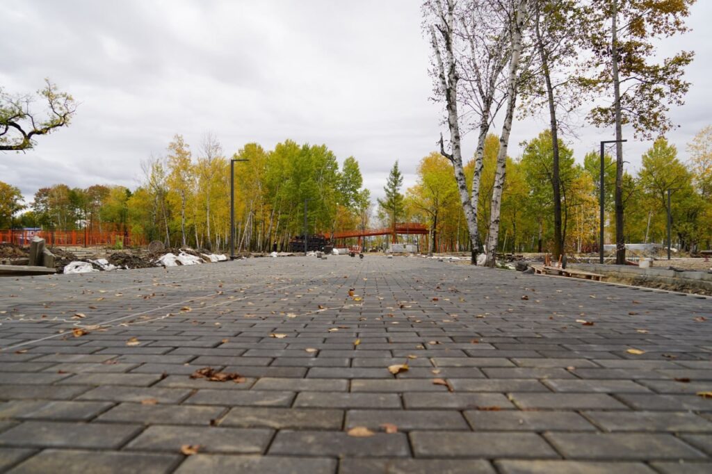 правительство Амурской области