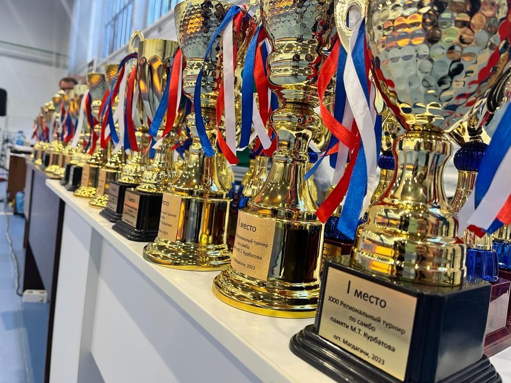 Турнир по самбо