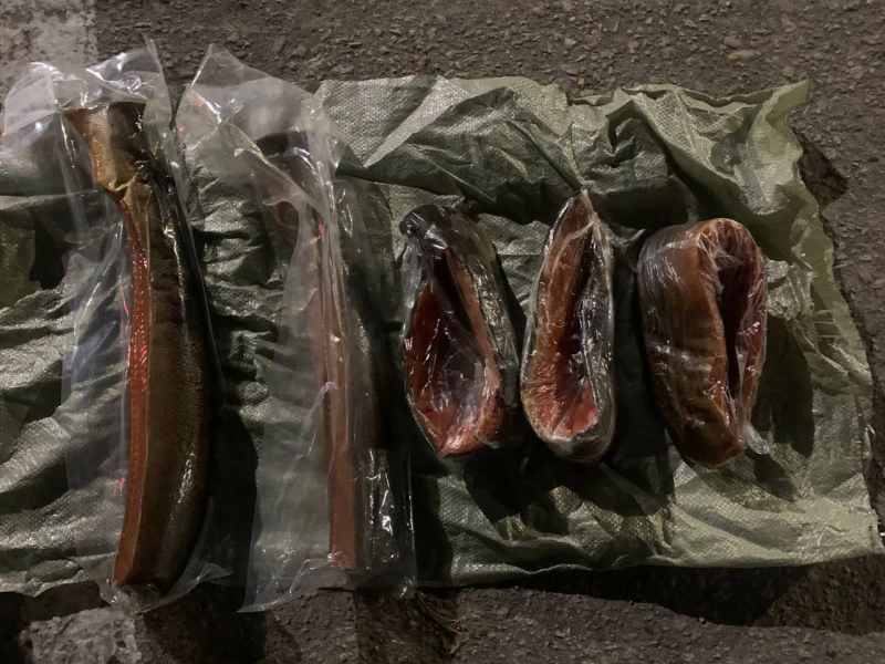 Украли рыбу