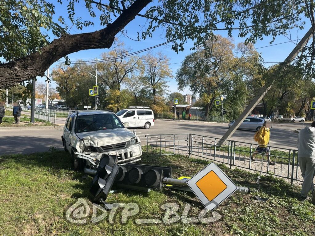 телеграм-канал «dtp_blg