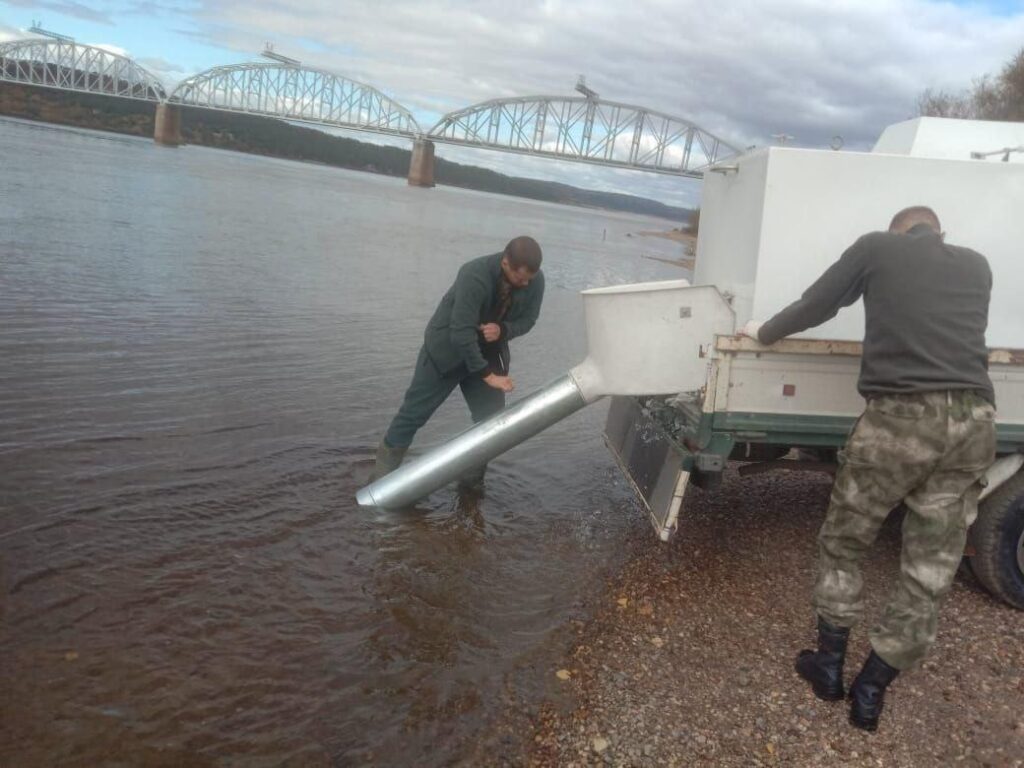 управление по охране животного мира Амурской области 