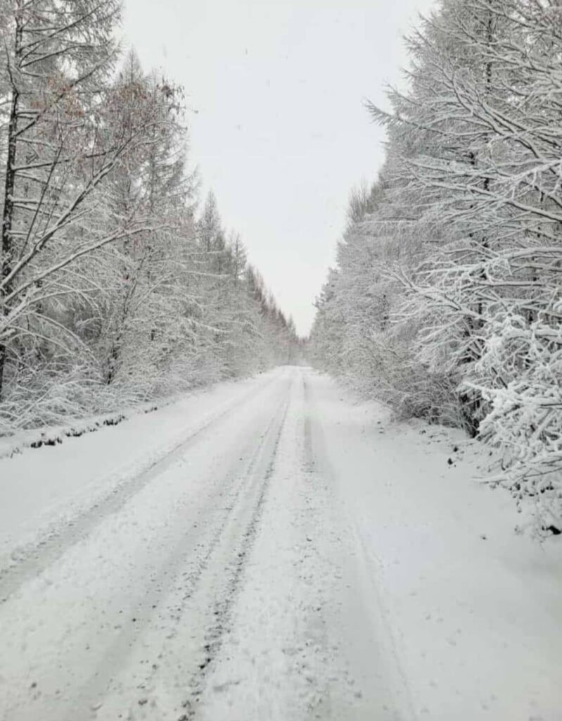 Первый снег