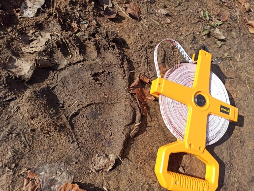 Фото: Дирекция по охране и использованию объектов окружающей среды