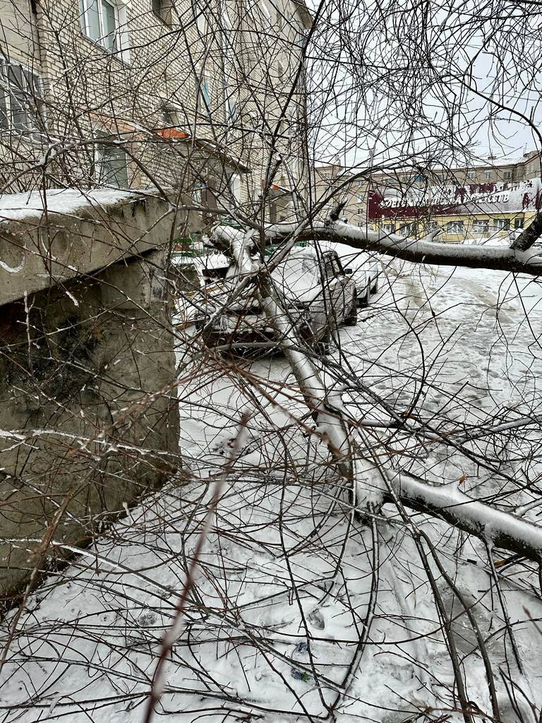 телеграм-канал Андрея Горюнова