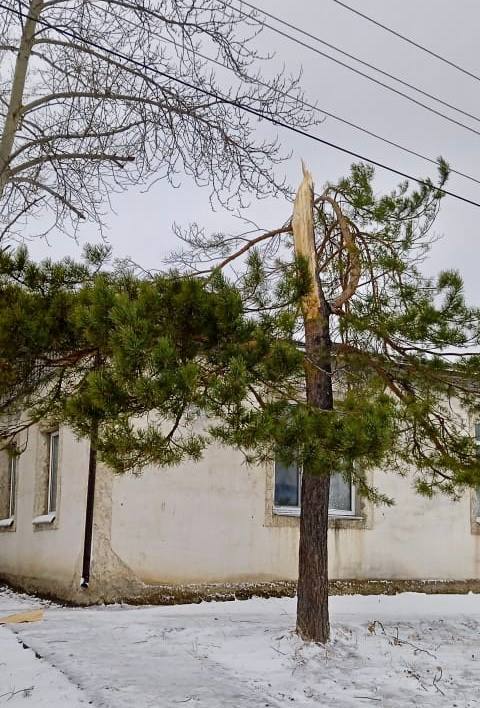 телеграм-канал Андрея Горюнова