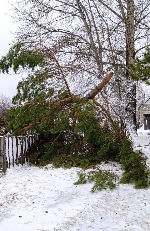 телеграм-канал Андрея Горюнова