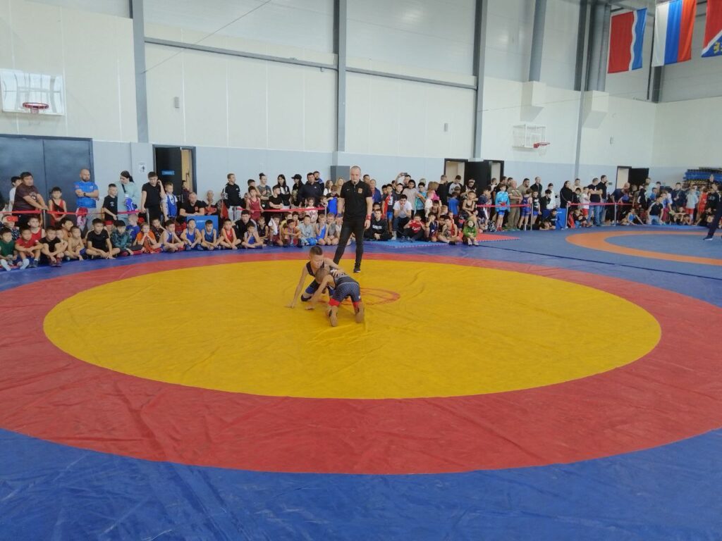 министерство по физической культуре и спорту Амурской области