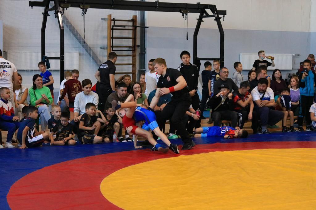 министерство по физической культуре и спорту Амурской области