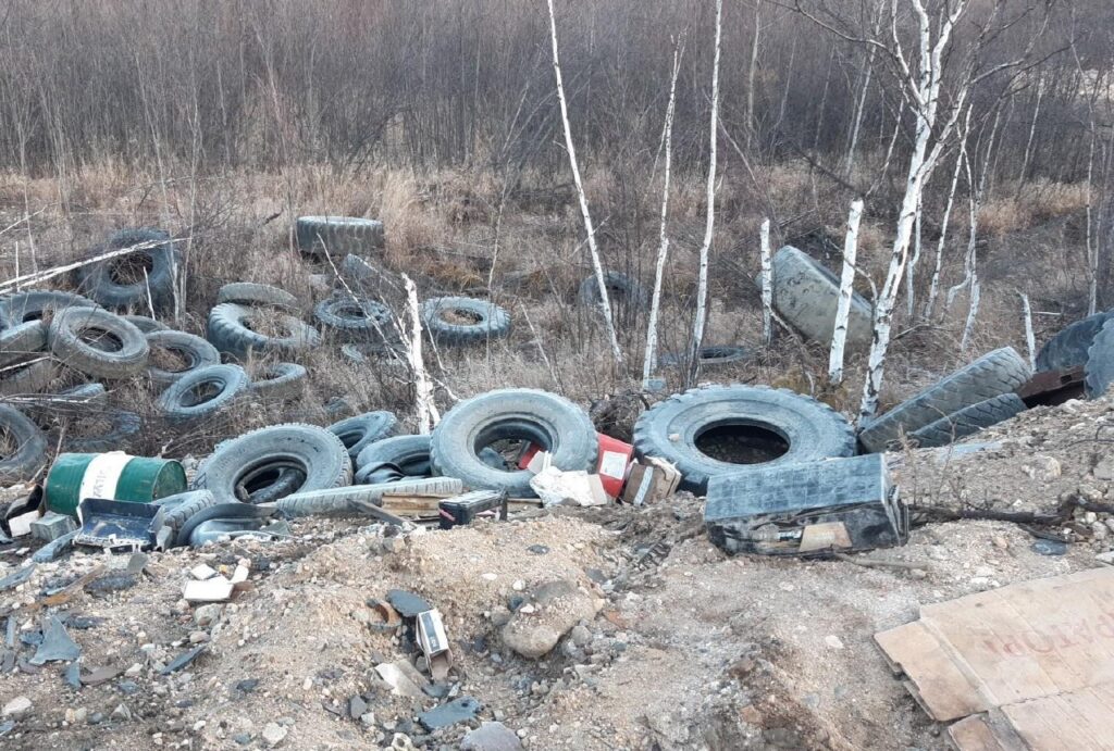 Фото: минлес Амурской области