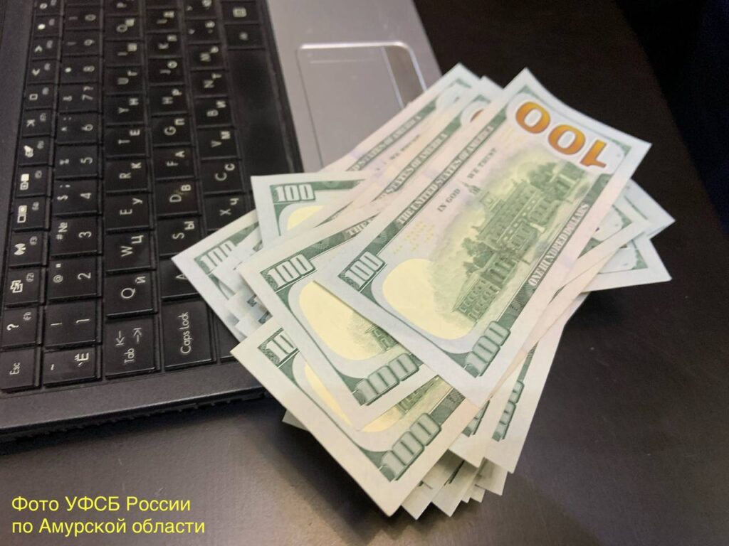 В Амурской области задержали «особо крупного» мошенника