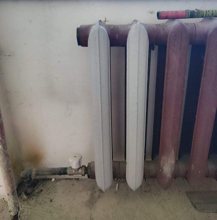 правительство Амурской области