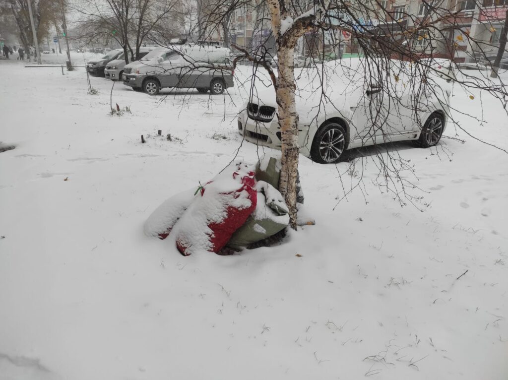 Мешки на обочине: как общегородской субботник привел к захламлению Благовещенска