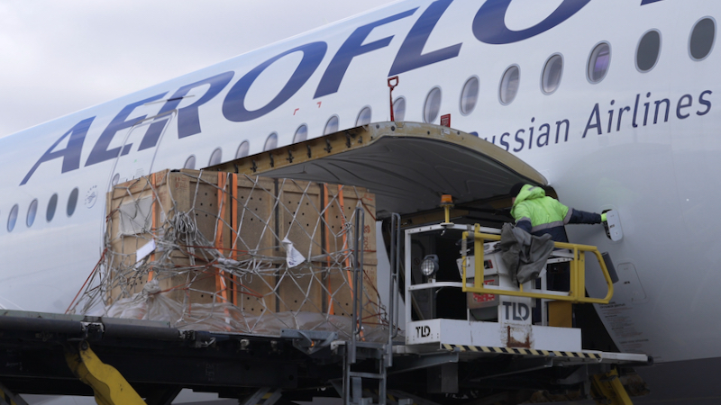 Фото: Центр "Тигр"