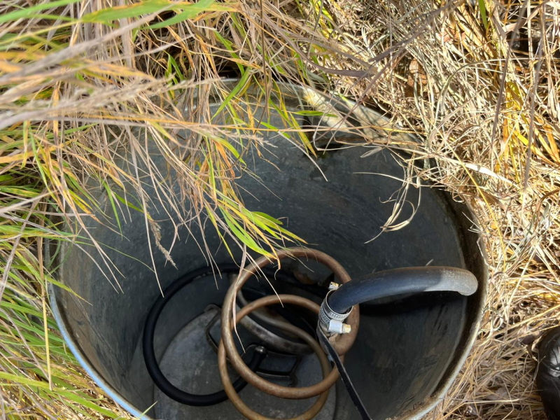 Амурчанам грозит тюремный срок за крупную заготовку запрещенных веществ