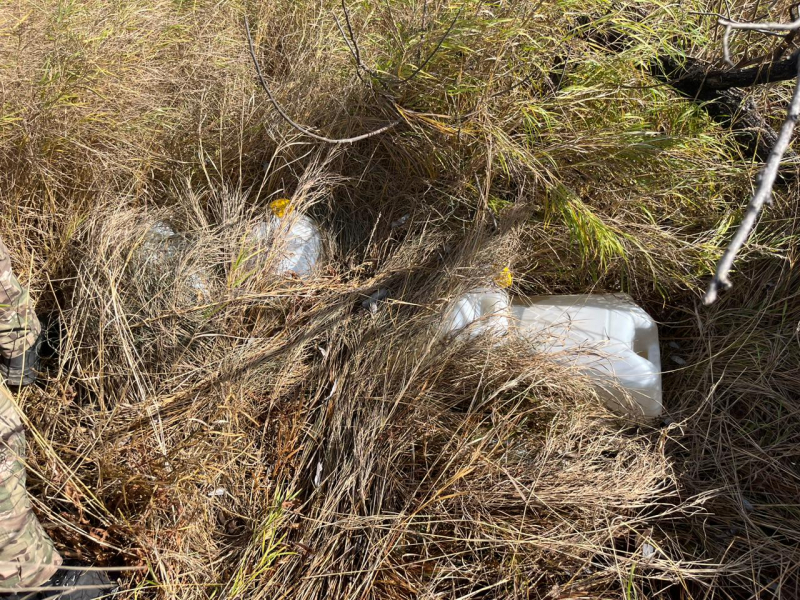 Амурчанам грозит тюремный срок за крупную заготовку запрещенных веществ