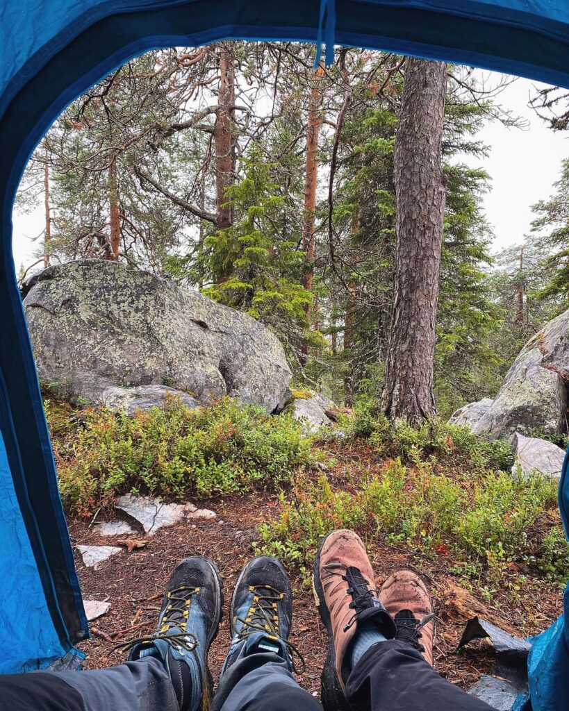 ночёвка в тайге, тайга