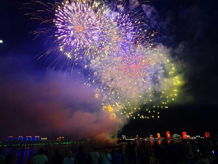 Что может навредить вашему питомцу в новогодние праздники: полный список