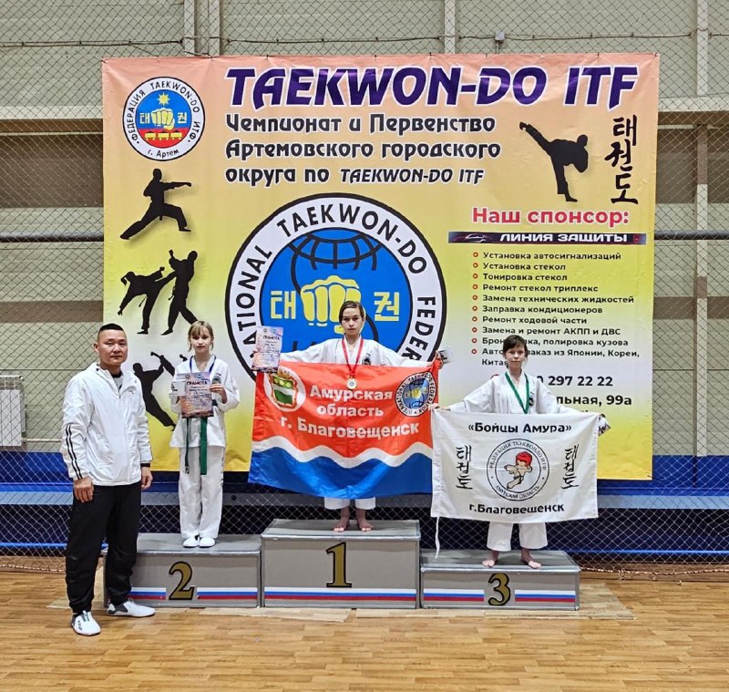 Амурские ребята завоевали 24 медали в соревнованиях по тхэквондо в Приморье