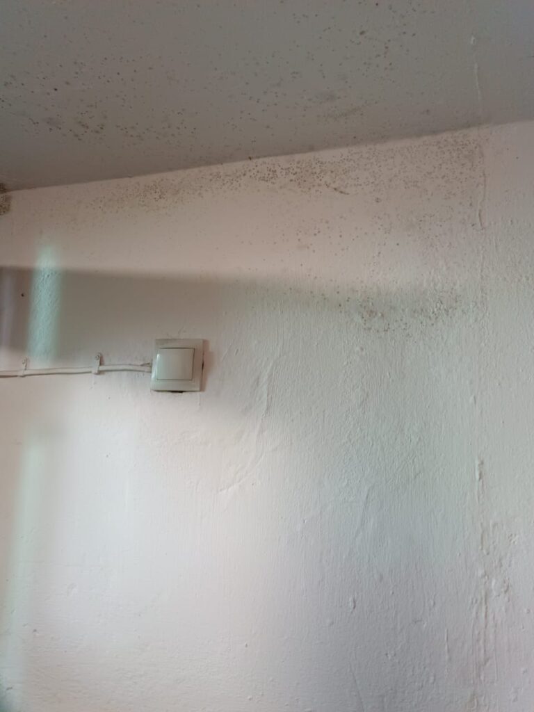 Дело о неуловимом конденсате, или Почему благовещенцы вынуждены в шесть утра снимать подъезд на видео