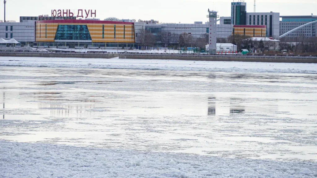 Амурчане продолжают дежурить на китайской таможне в ожидании пумы