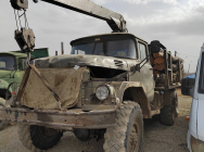 Амурчанину грозит семь лет тюрьмы за 20 спиленных деревьев