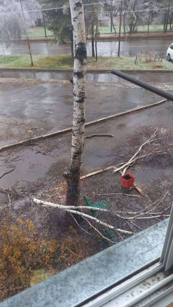 Ледяной дождь во Владивостоке