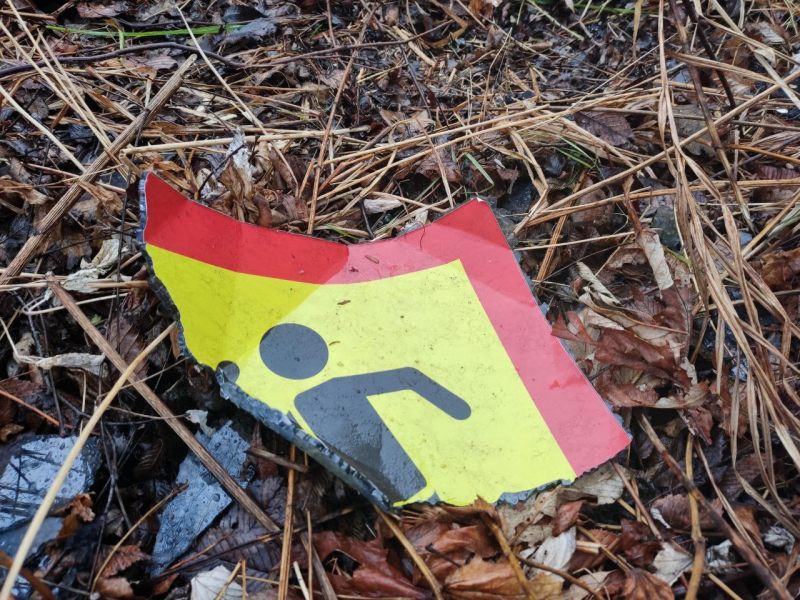 Фото: управление МВД по Приморскому краю