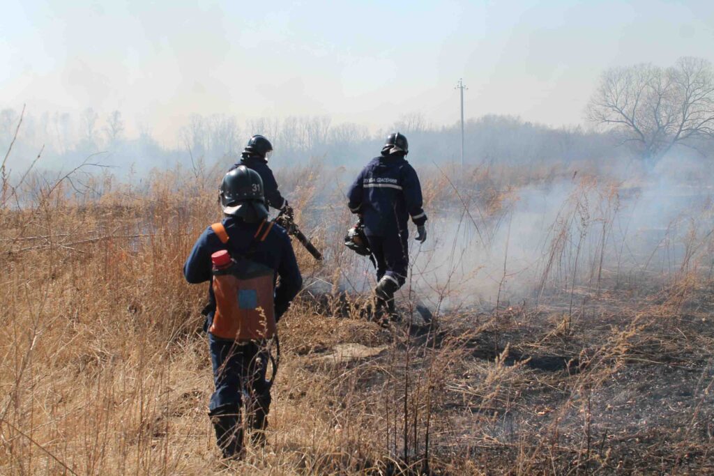 Наказали за пожары