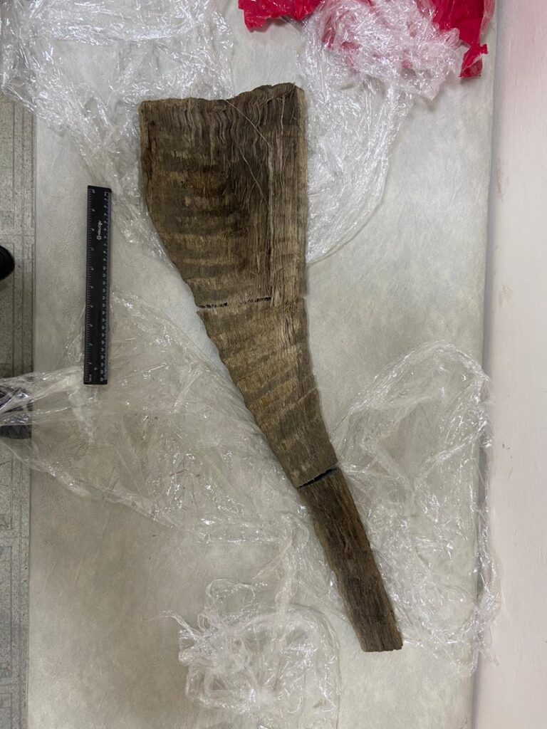 Амурские пограничники нашли контрабанду под одеждой у иностранки