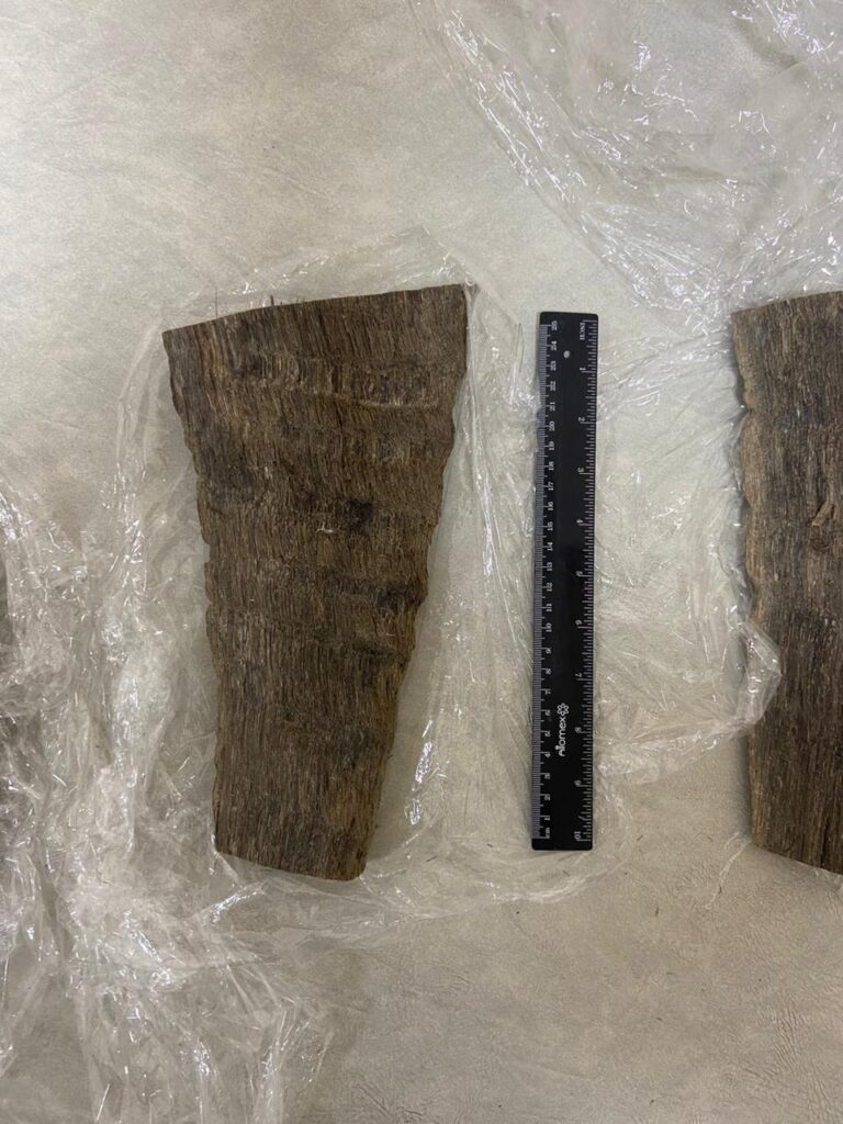 Амурские пограничники нашли контрабанду под одеждой у иностранки