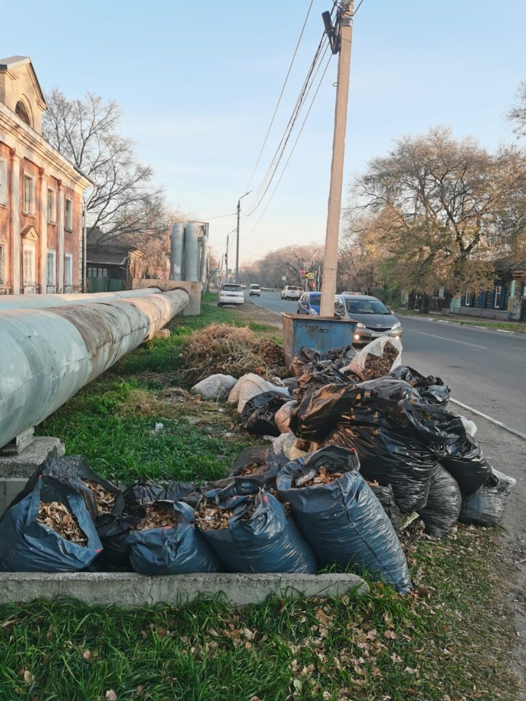 Мешки раздора: как общегородской субботник привел к захламлению Благовещенска
