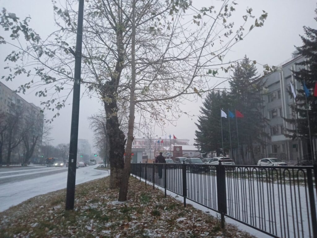 Первый снег