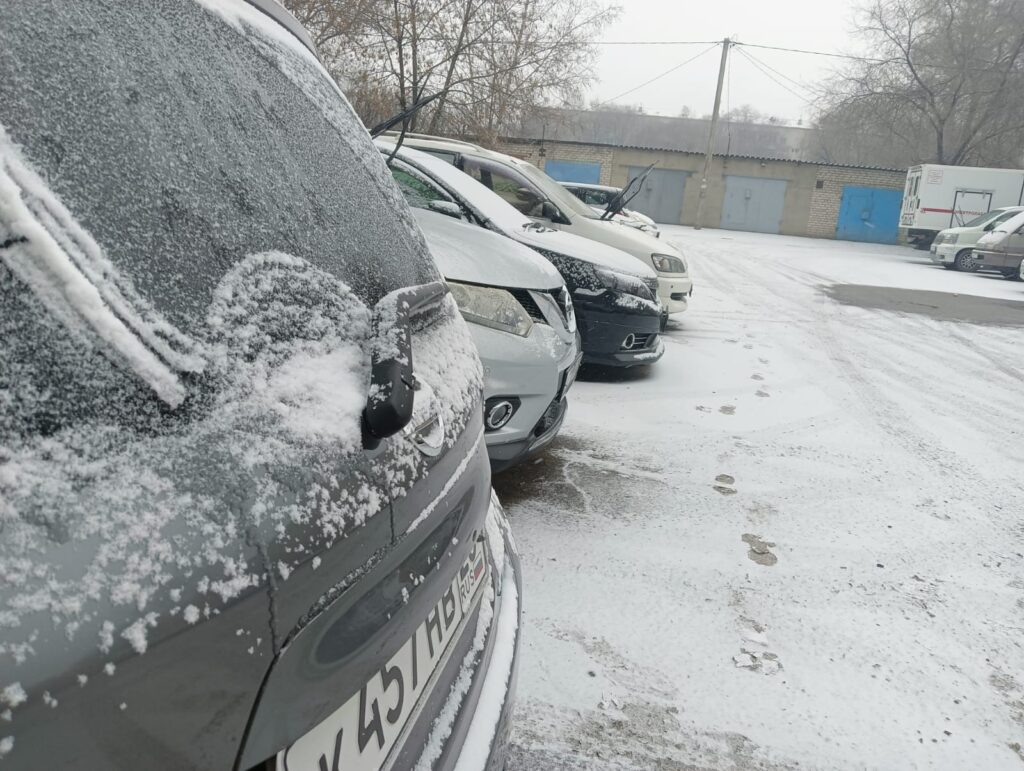 Первый снег