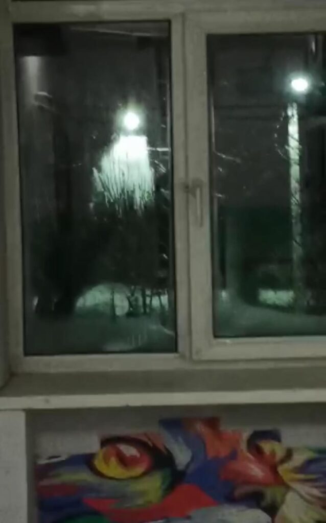 Дело о неуловимом конденсате, или Почему благовещенцы вынуждены в шесть утра снимать подъезд на видео