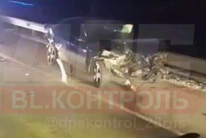 Фото: скриншот видео dpscontrol_28rus