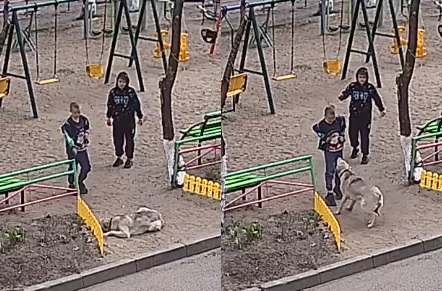 Фото: скриншот видео с камер наблюдения Забурхановская 93/1