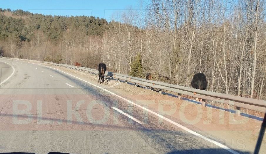 Фото: dpscontrol_28rus