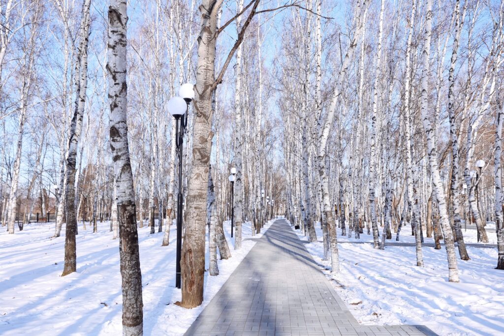 Амурский губернатор побывал в Прогрессе