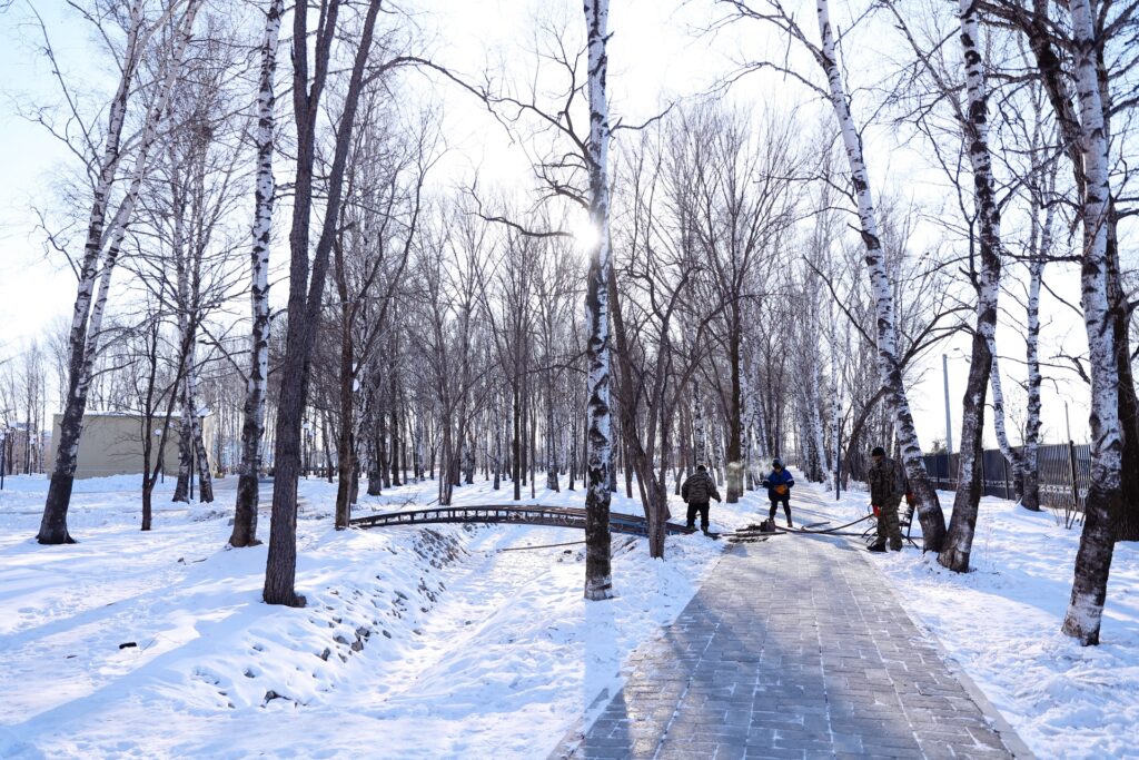 Амурский губернатор побывал в Прогрессе