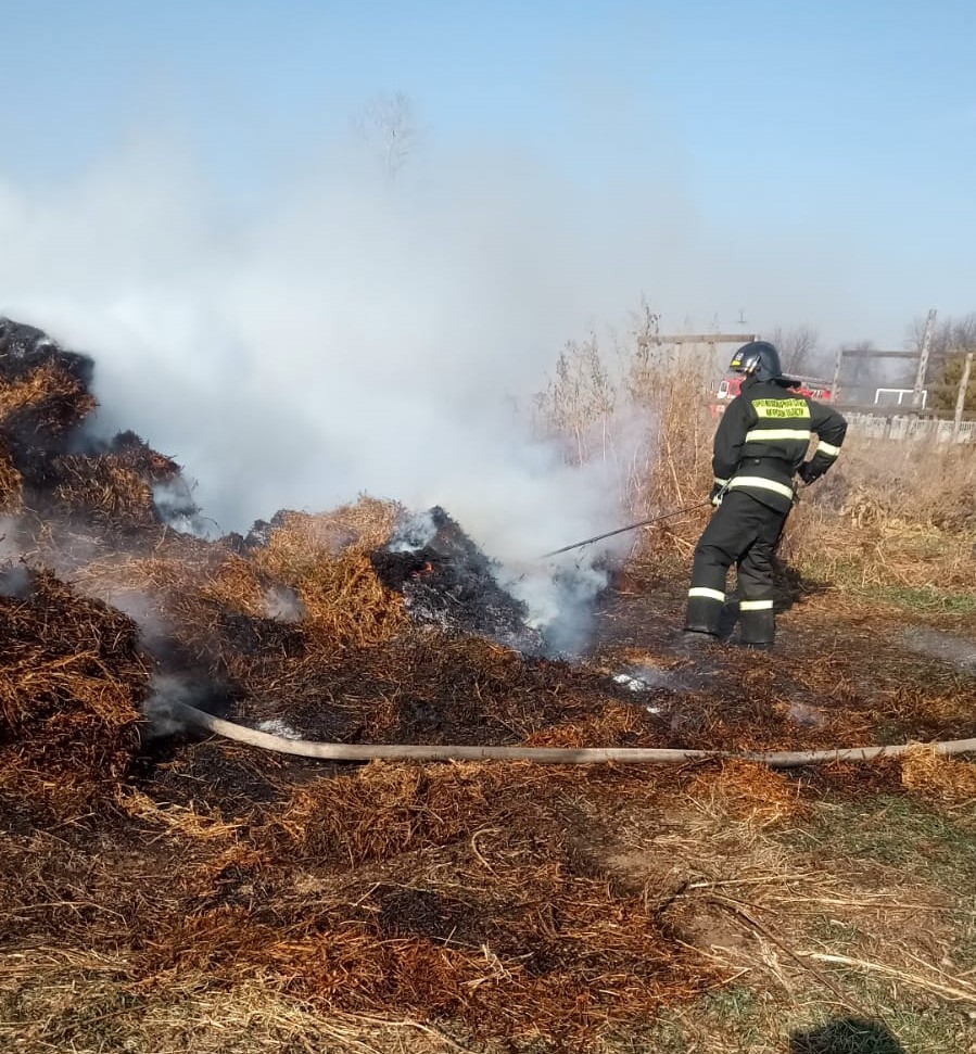 Амурчанам рассказали, почему горящая трава – не всегда плохо