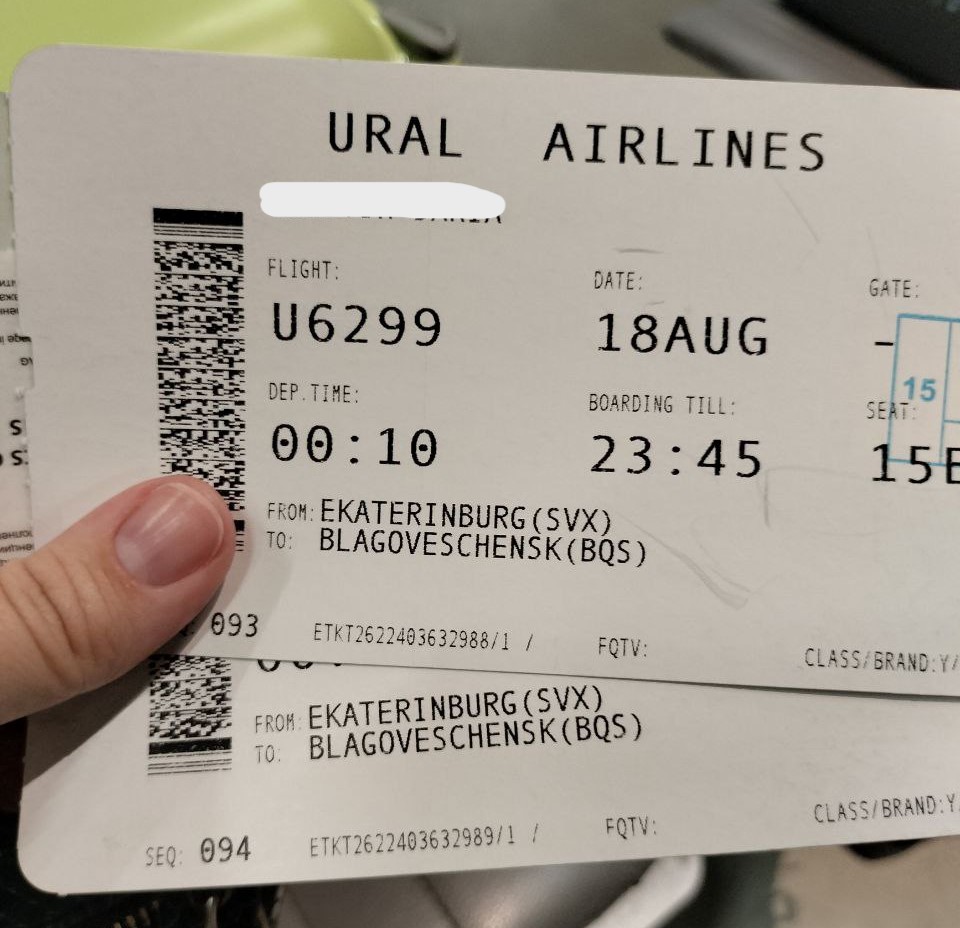 Как переехать с двумя котами