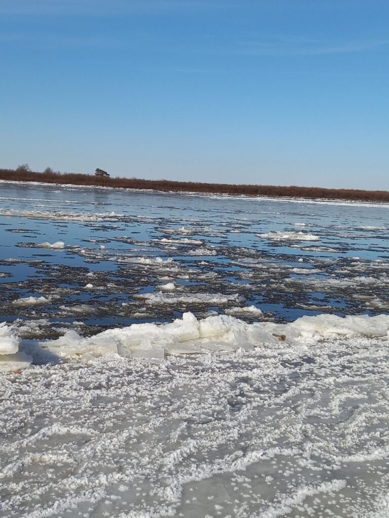 Эффектные кадры: свободненцы восхищаются ледоставом