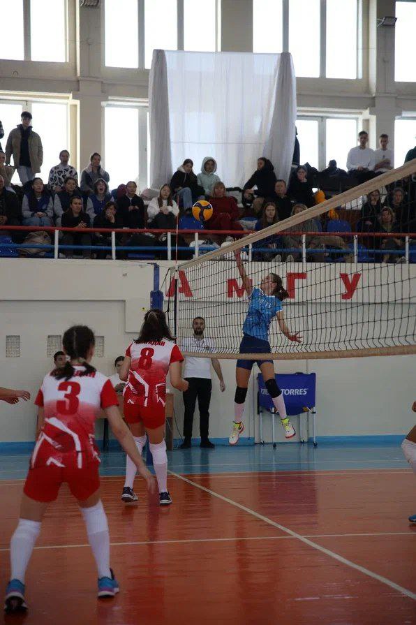 Амурские волейболисты выбили бронзу на первенстве Дальнего Востока