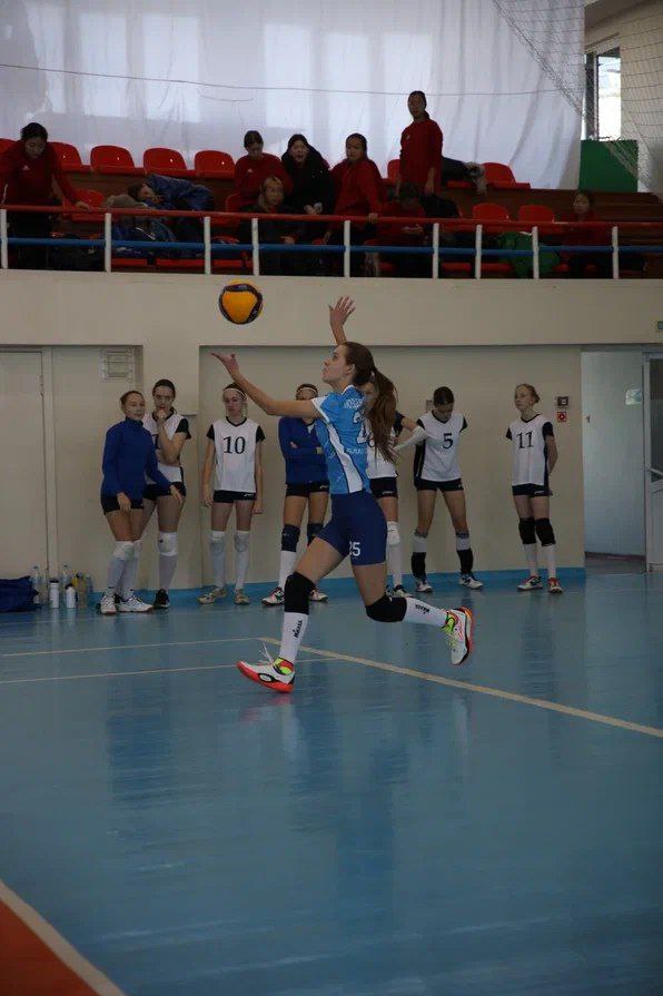 Амурские волейболисты выбили бронзу на первенстве Дальнего Востока