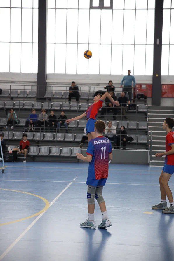 Амурские волейболисты выбили бронзу на первенстве Дальнего Востока