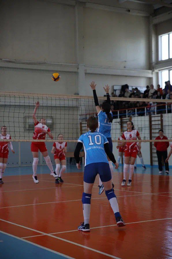 Амурские волейболисты выбили бронзу на первенстве Дальнего Востока