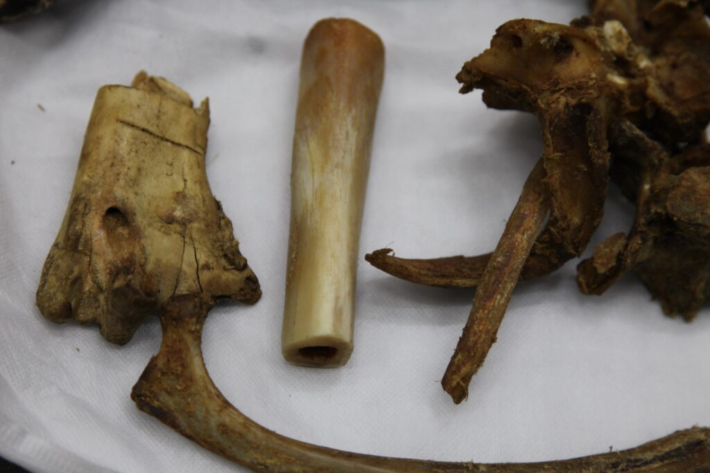 Бизнес на костях: в Приамурье остановили международных контрабандистов