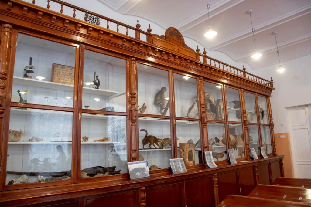 Открытие исторического кабинета биологии в Алексеевской гимназии